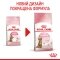 Сухий корм Royal Canin KITTEN STERILISED для кошенят всіх порід 2 кг — Фото 8