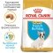 Сухий корм Royal Canin FRENCH BULLDOG PUPPY для цуценят породи Французький бульдог 1 кг — Фото 5