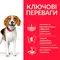 Hill’s Science Plan Adult Perfect Weight Medium Breed Сухий корм для підтримання ваги дорослих собак середніх порід, з куркою, 2кг — Фото 7