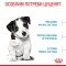 Сухий корм Royal Canin MINI PUPPY для цуценят малих порід 0,8 кг + WET MINI PUPPY 85 г — Фото 13