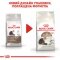 Сухий корм Royal Canin AGEING+12 для Кіт 2 кг — Фото 9