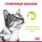 Вологий корм Royal Canin SENSORY SMELL JELLY для котів всіх порід 85 г — Фото 6