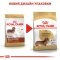 Сухий корм Royal Canin DACHSHUND ADULT для дорослих собак породи Такса 1,5 кг — Фото 4