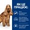 Hill’s Prescription Diet z/d Сухий корм для собак при харчовій алергії, 3 кг — Фото 12