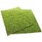 Фон моховий Repti-Zoo Natural Moss Back &amp; Bottom 50x25см 2шт. (NCM5025) — Фото 11