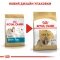 Сухий корм Royal Canin SHIH TZU ADULT для дорослих собак породи Ши-цу 1,5 кг — Фото 4