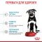 Сухий корм Royal Canin MAXI PUPPY для цуценят великих порід 1 кг — Фото 10