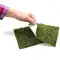 Фон моховий Repti-Zoo Natural Moss Back &amp; Bottom 45x45см 2шт. (NCM4545) — Фото 12