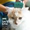 Фурмінатор FURminator для котів з короткою шерстю, розмір S — Фото 13