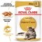 Вологий корм Royal Canin MAINECOON ADULT для котів всіх поріди Мейн-кун 85 г — Фото 5