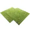 Фон моховий Repti-Zoo Natural Moss Back &amp; Bottom 45x45см 2шт. (NCM4545) — Фото 10