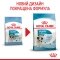 Сухий корм Royal Canin MINI PUPPY для цуценят малих порід 0,8 кг + WET MINI PUPPY 85 г — Фото 12