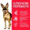 Hill’s Science Plan Mature Adult 6+ Large Breed Сухий корм для зрілих собак великих порід від 6 років, з куркою, 14 кг — Фото 7