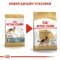 Сухий корм Royal Canin GERMAN SHEPHERD ADULT для дорослих собак породи Німецька вівчарка 11 кг — Фото 5