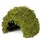 Схованка з моху Repti-Zoo Natural Mossy Dome M 14x10,5 (ERS25M) — Фото 6