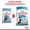 Сухий корм Royal Canin MAXI PUPPY для цуценят великих порід 1 кг — Фото 7