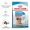 Сухий корм Royal Canin MEDIUM STARTER для дорослих собак середніх порід 1 кг — Фото 10