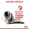 Сухий корм Royal Canin HAIRBALL CARE для котів всіх порід 0,4 кг — Фото 10