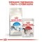 Сухий корм Royal Canin INDOOR для котів всіх порід 8кг+2кг — Фото 10