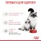 Вологий корм Royal Canin BABYCAT INSTINCTIVE Cans для котів всіх порід 195 г — Фото 8