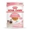 Вологий корм Royal Canin KITTEN INSTINCTIVE IN JELLY для кошенят всіх порід 85 г — Фото 5