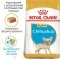 Сухий корм Royal Canin CHIHUAHUA PUPPY для цуценят породи Чихуахуа 0,5 кг — Фото 5