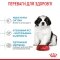 Сухий корм Royal Canin GIANT PUPPY для цуценят гігантських порід 15 кг — Фото 10