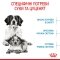 Сухий корм Royal Canin MEDIUM STARTER для дорослих собак середніх порід 1 кг — Фото 11