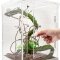 Тераріум Repti-Zoo Acrylic Terrarium 20x20x30см (PACR10) — Фото 6