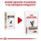 Дієтичний вологий корм Royal Canin GASTROINTESTINAL MODERATE CALORIE CAT(шматочки у соусі) для котів 85 г — Фото 8