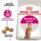 Сухий корм Royal Canin EXIGENT PROTEIN для котів всіх порід 2 кг — Фото 6