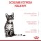 Сухий корм Royal Canin KITTEN STERILISED для кошенят всіх порід 2 кг — Фото 10