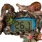 Декорація Yusee Aquarium Decor Thermometer з термометром LCD 14X6X11см (ys201030) — Фото 16