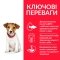 Hill’s Science Plan Puppy Smal&amp;Mini Сухий корм для цуценят малих і мініатюрних порід, з куркою, 1,5 кг — Фото 7