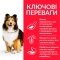 Hill’s Science Plan Adult Sensitive Stomach&amp;Skin Medium Breed Сухий корм при чутливому шлунку та шкірі для дорослих собак середніх порід, з куркою, 2,5 кг — Фото 7