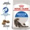 Сухий корм Royal Canin INDOOR LONGHAIR для котів всіх порід 2 кг — Фото 5