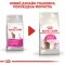 Сухий корм Royal Canin EXIGENT SAVOUR для котів всіх порід 8кг+2кг — Фото 8