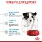 Сухий корм Royal Canin MINI PUPPY для цуценят малих порід 0,8 кг + WET MINI PUPPY 85 г — Фото 14