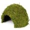 Схованка з моху Repti-Zoo Natural Mossy Dome L 22x17 (ERS25L) — Фото 7