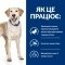 Hill’s Prescription Diet d/d Сухий корм для собак при харчовій алергії, з качкою та рисом, 1,5 кг — Фото 12