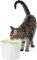 Поїлка-фонтан Catit Fresh &amp; Clear для котів та собак, 3 л (пластик) — Фото 8
