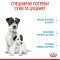 Сухий корм Royal Canin MINI STARTER для дорослих собак малих порід 1 кг — Фото 13