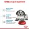 Сухий корм Royal Canin MEDIUM PUPPY для цуценят середніх порід 15 кг — Фото 11