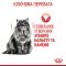 Сухий корм Royal Canin DENTAL CARE для котів всіх порід 0,4 кг — Фото 9