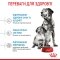 Сухий корм Royal Canin MEDIUM STARTER для дорослих собак середніх порід 1 кг — Фото 12