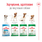 Сухий корм Royal Canin MINI ADULT 8+ для собак зрілого віку малих порід 0,8 кг — Фото 6