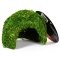 Схованка з моху Repti-Zoo Natural Mossy Dome S 11x10см (ERS25S) — Фото 10