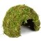 Схованка з моху Repti-Zoo Natural Mossy Dome S 11x10см (ERS25S) — Фото 9