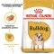 Сухий корм Royal Canin BULLDOG ADULT для дорослих собак породи Бульдог 12 кг — Фото 8