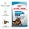 Сухий корм Royal Canin MAXI STARTER для дорослих собак великих порід 4 кг — Фото 10